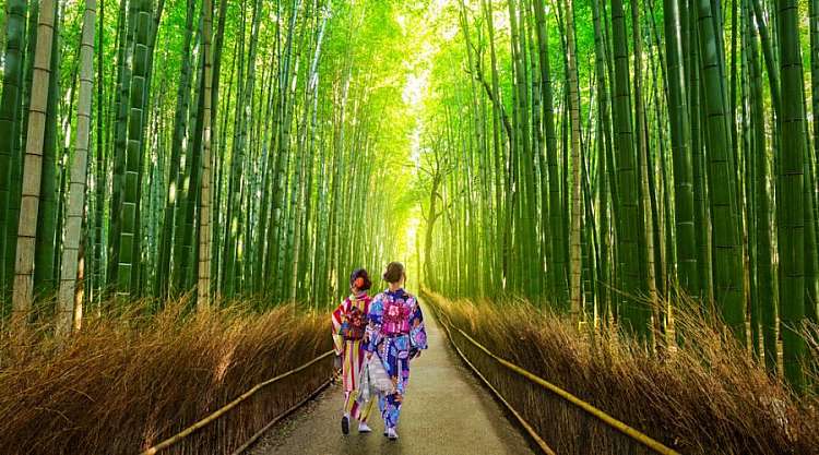 La foresta di bambù di Arashiyama raggiungibile da Kyoto